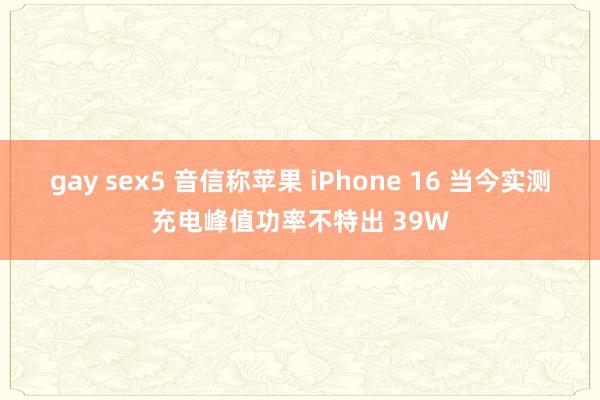 gay sex5 音信称苹果 iPhone 16 当今实测充电峰值功率不特出 39W