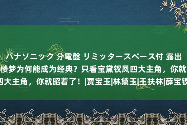 パナソニック 分電盤 リミッタースペース付 露出・半埋込両用形 87版红楼梦为何能成为经典？只看宝黛钗凤四大主角，你就昭着了！|贾宝玉|林黛玉|王扶林|薛宝钗|欧阳奋强