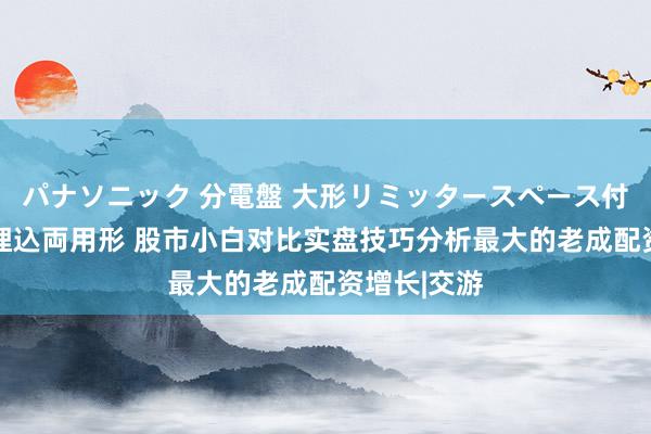 パナソニック 分電盤 大形リミッタースペース付 露出・半埋込両用形 股市小白对比实盘技巧分析最大的老成配资增长|交游